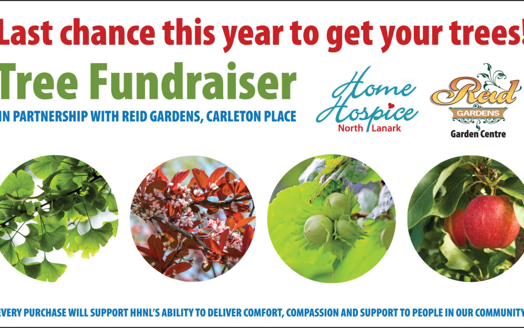 Last Chance! Get Your Trees Now! Support Home Hospice!