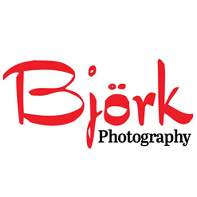 Bjork_logo